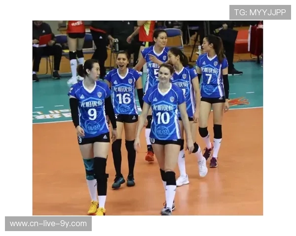 杭州排球队状态分析与发展展望聚焦排球运动的未来与挑战